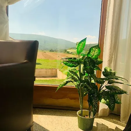 Dezerto & Hotel